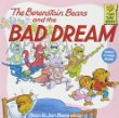 The Berenstain bears and the bad dream